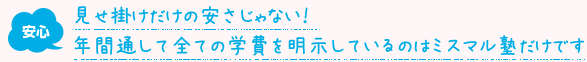 見せ掛けだけの安さじゃない！年間通して全ての学費を明示しているのはミスマル塾だけです